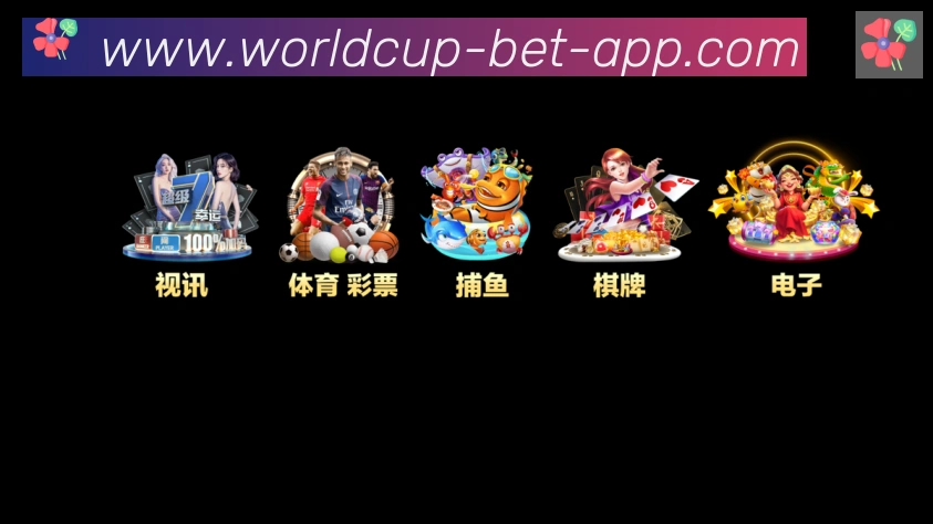 奖项证书